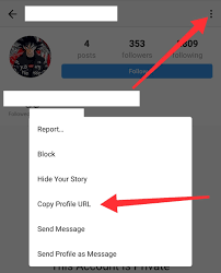 You can view all posts on a unique panel with an export all option. Private Instagram Account Viewer Insta Story Profiles Web Viewer Stalker
