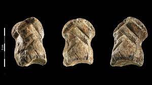 'De moderne mens leerde van de neanderthaler, niet omgekeerd' | EOS  Wetenschap