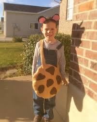 This easy no effort chocolate chip cookie costume is perfect for toddlers and kids. My Busy Beehives If You Give A Mouse A Cookie Costume