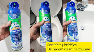 how to clean bathroom with single