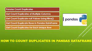 count duplicates in pandas dataframe