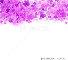 easy drawing pink and purple flower