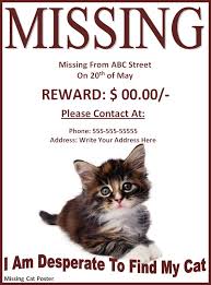 Missing Or Lost Pet Poster Template Free Printable Ms Word
