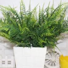 The long vines of an asparagus fern are covered in tiny, needlelike, bright green leaves. Bester Preis Fur Asparagus Fern Tolle Angebote Fur Asparagus Fern Von Globalen Asparagus Fern Verkaufern Auf Aliexpress