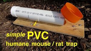 pvc humane rat mouse trap
