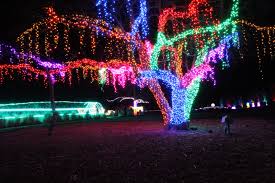 overland park xmas garden light display