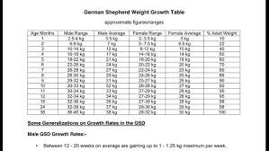German Shepherd Growth Chart Male Best Picture Of Chart