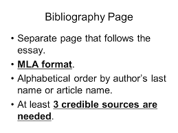   paragraph essay outline mla format page