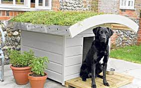 Indoor Outdoor Dog Kennel Plans Good