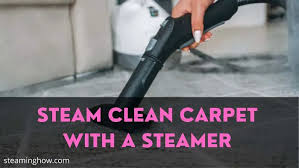 a garment steamer to clean carpet
