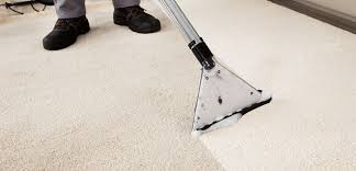 mega clean carpet upholstery