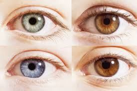 what is the rarest eye colour in the