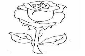 Gambar bunga matahari untuk diwarnai 15 gambar mewarnai bunga mawar. Cara Mewarnai Gambar Bunga Mawar Mewarnai Cerita Terbaru Lucu Sedih Humor Kocak Romantis