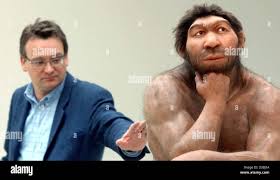 Neanderthal High Resolution Stock Photography and Images - Alamy