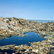 Great pacific garbage patch great pacific garbage patch. Plastics In The Ocean Affecting Human Health