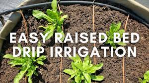easy raised bed drip irrigation system