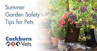 Summer Garden Safety Tips For Pets