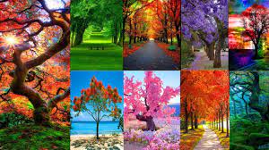 most beautiful nature pictures in the