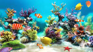 tropical aquarium wallpaper