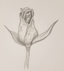 how to draw a rose bud drawing ideas