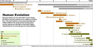 72 Hand Picked Smithsonian Chart Of Animal Evolution