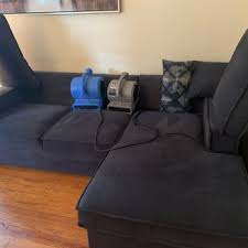 al s carpet upholstery cleaning