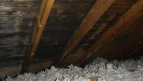 How To Avoid Moisture Problems In Your Attic |