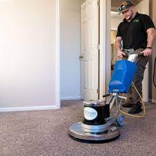 carpet cleaners in fort collins
