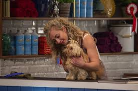 Explore tweets of pooch perfect @poochperfectabc on twitter. All The Details On Bbc S New Dog Show Pooch Perfect Popsugar Entertainment Uk
