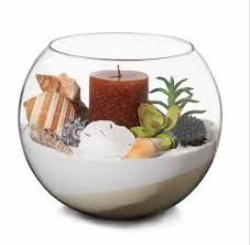 Transpa Terrarium Glass Fish Bowl