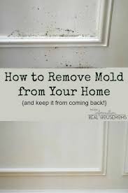 How To Remove Mold From Wood And Walls