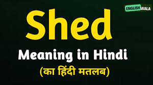 shed meaning in hindi shed matlab kya