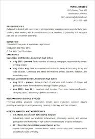 Executive Resume Samples   Professional Resume Samples Than       CV Formats For Free Download