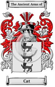 Sounds can only be searched in names that have been assigned pronunciations * is a wildcard that will match zero or more letters in the pronunciation example: Cat Name Meaning Family History Family Crest Coats Of Arms