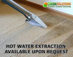green solutions carpet cleaning salt