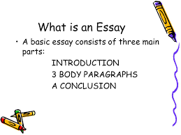 Best     Essay writing examples ideas on Pinterest   Grammar for     Download Basic Essay Examples
