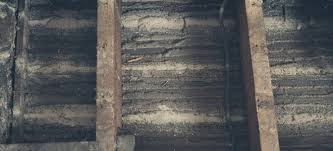 how to remove mold from floor joists
