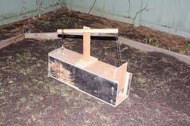 How to build a squirrel pole snare trap. 21 Diy Squirrel Trap How To Catch A Squirrel
