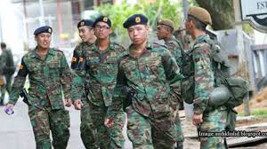 6 Things About The Saf Berets That You Probably Didnt Know