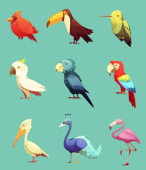 parrot birds images free on