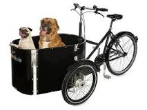 “dog basket for bike”的图片搜索结果