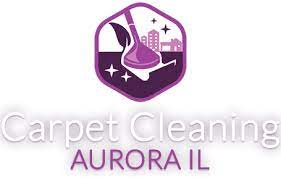 pro carpet cleaning services