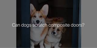 Can Dogs Scratch Composite Doors