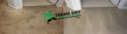 author at xtreme dry carpet cleaning