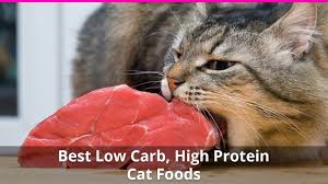 It means that the percentage of carbs are lower than the one of. The Best High Protein Low Carb Cat Food Reviews For 2021