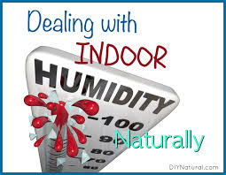 Indoor Humidity Beat It With A Diy