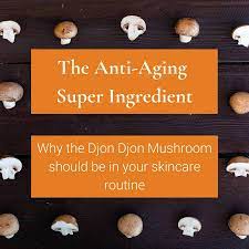 Anti-Aging Super Ingredient: The Djon Djon Mushroom