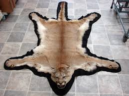 real mountain lion cougar taxidermy fur