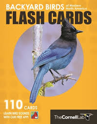 backyard birds flash cards western