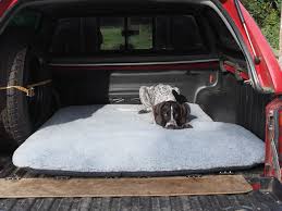 Versatile Dog Beds In The Car